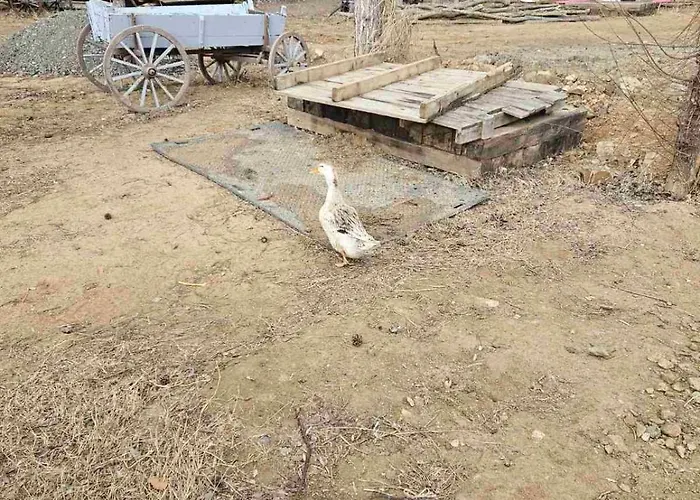 шангри ла-3, плаж градина Campsite